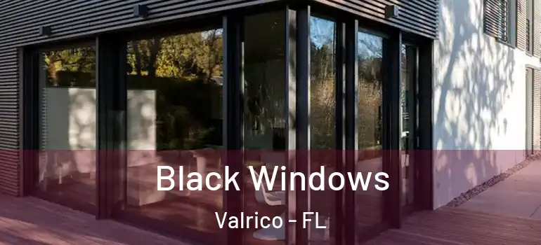  Black Windows Valrico - FL