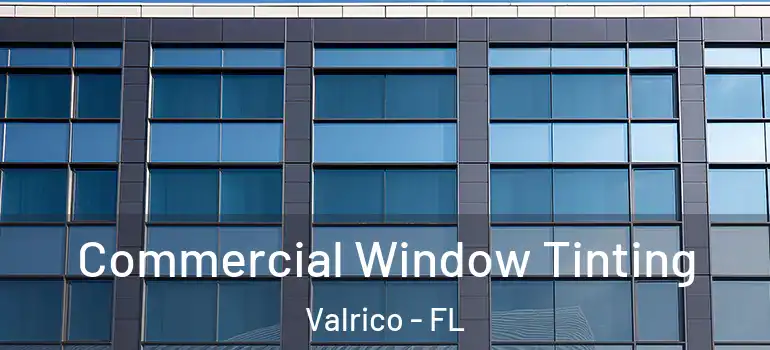 Commercial Window Tinting Valrico - FL
