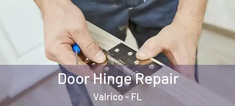  Door Hinge Repair Valrico - FL