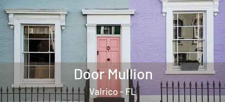  Door Mullion Valrico - FL