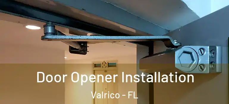 Door Opener Installation Valrico - FL