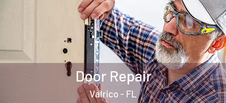  Door Repair Valrico - FL