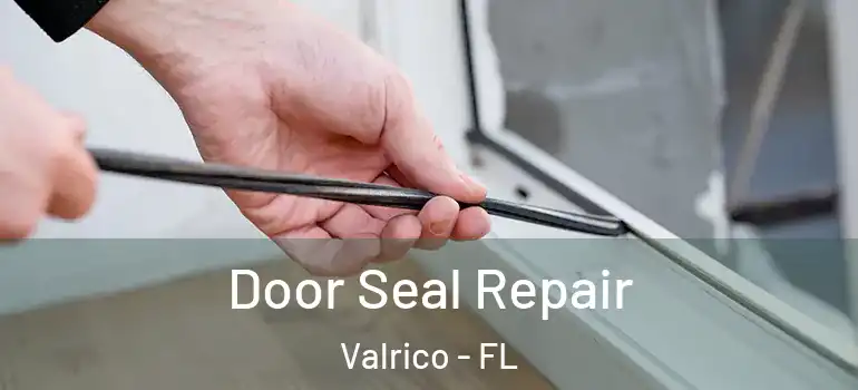  Door Seal Repair Valrico - FL