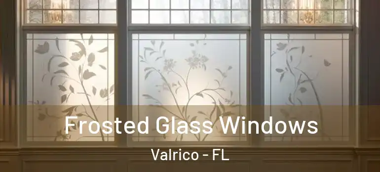 Frosted Glass Windows Valrico - FL