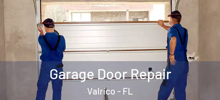  Garage Door Repair Valrico - FL