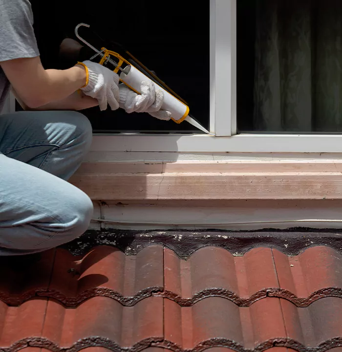 Roof Window Services in Valrico, Florida