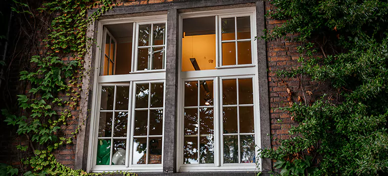 Energy Efficient Wood Windows in Valrico, FL