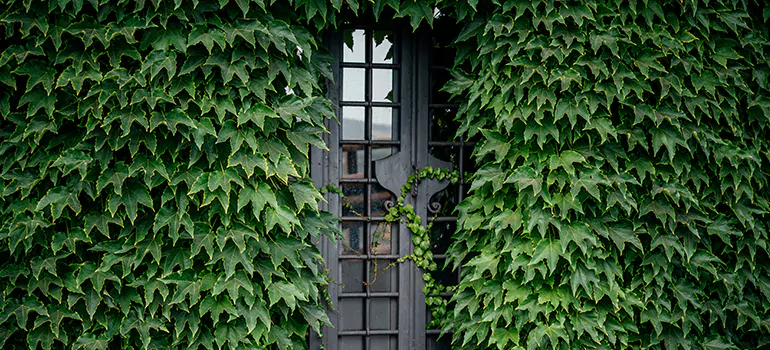Garden Gate Repair in Valrico, FL