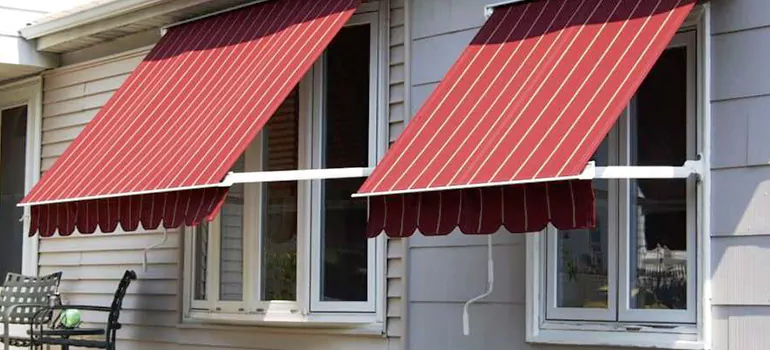 Government Rebate Window Replacement in Valrico, FL