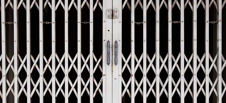 Steel Line Garage Door Repairs in Valrico, FL