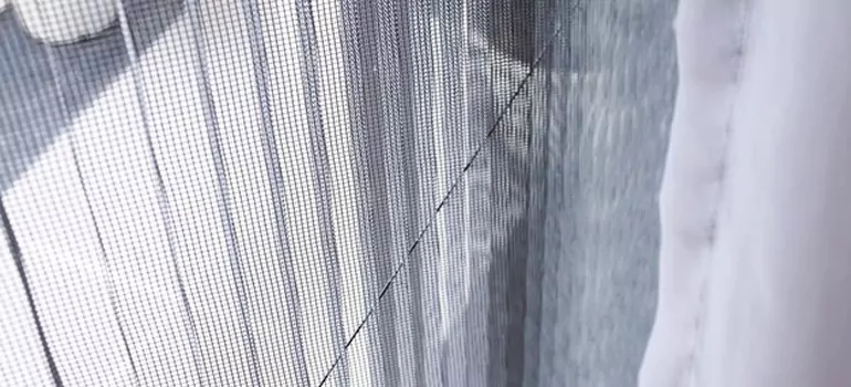 Fixing Screen Window Mesh in Valrico, FL