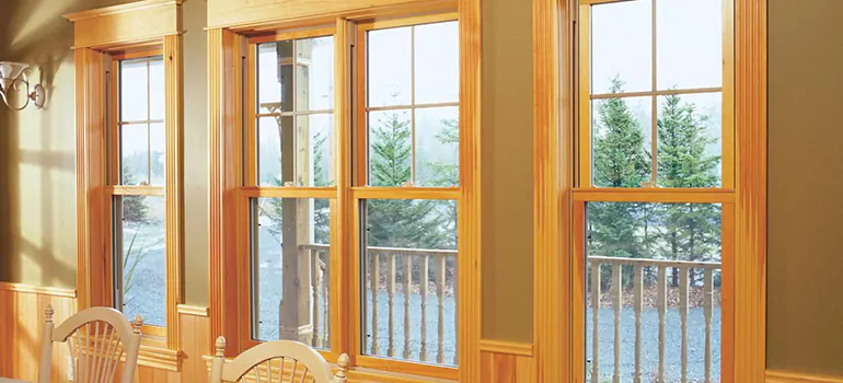 Government Incentives For Replacement Windows in Valrico, FL