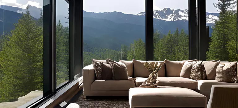 Picture Window Maintenance in Valrico, FL