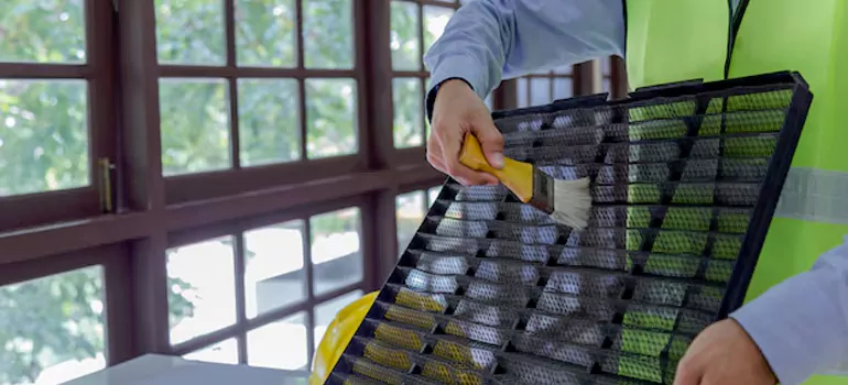 Traditional Window Grille Installation Options in Valrico, FL