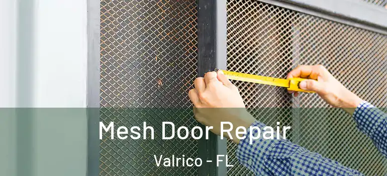  Mesh Door Repair Valrico - FL