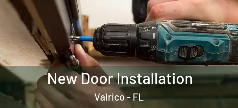  New Door Installation Valrico - FL