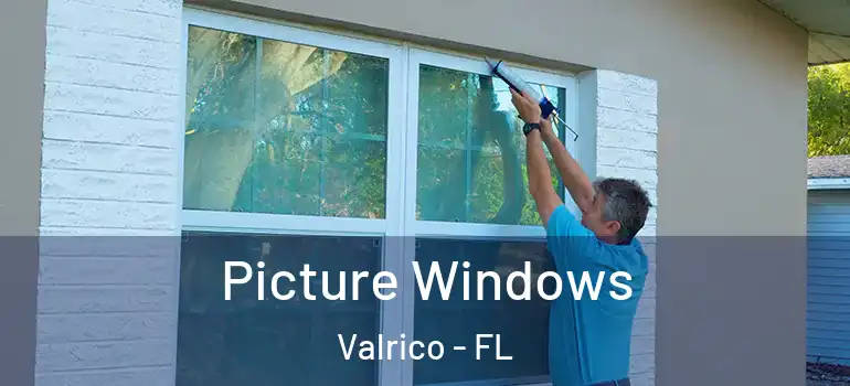  Picture Windows Valrico - FL