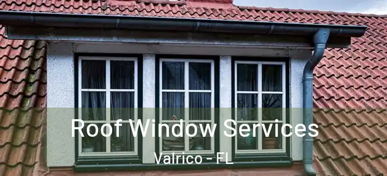  Roof Window Services Valrico - FL