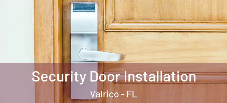 Security Door Installation Valrico - FL