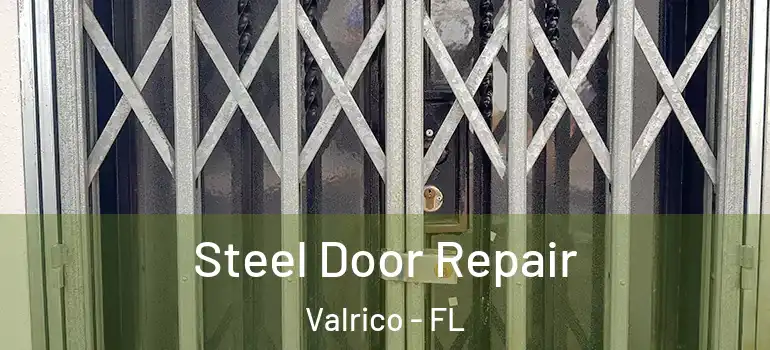  Steel Door Repair Valrico - FL