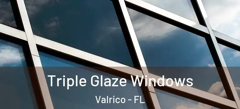 Triple Glaze Windows Valrico - FL
