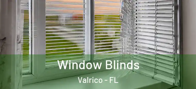 Window Blinds Valrico - FL