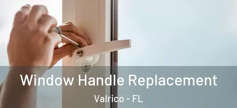  Window Handle Replacement Valrico - FL