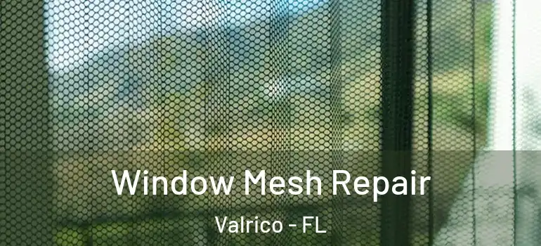 Window Mesh Repair Valrico - FL