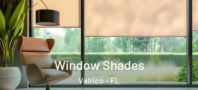  Window Shades Valrico - FL
