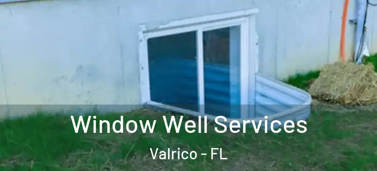 Window Well Services Valrico - FL